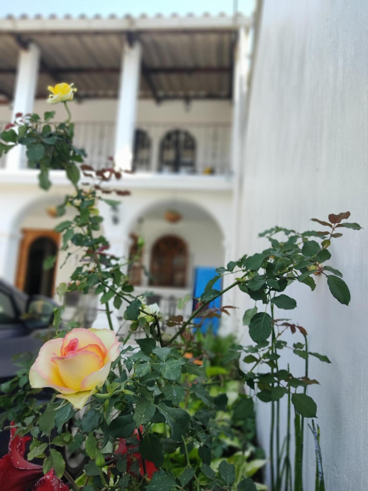 Blue Moon Hostel Antigua Eksteriør bilde